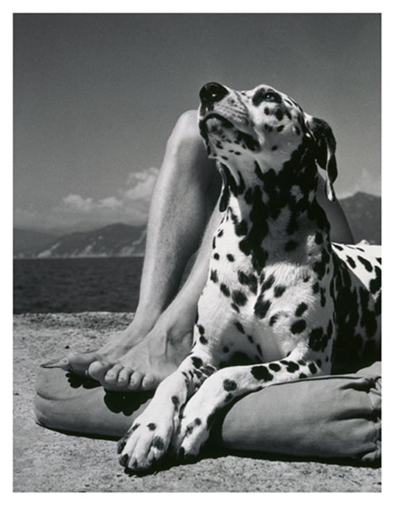Herbert List, Herr und Hund, Portofino 1936